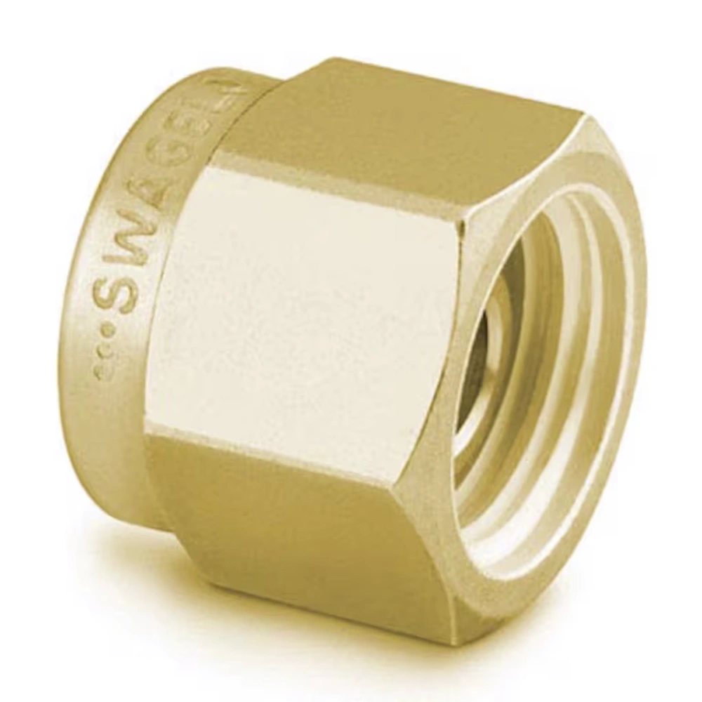 Swagelok Brass 1/16" Plug, pk.5 | SW-B-100-P