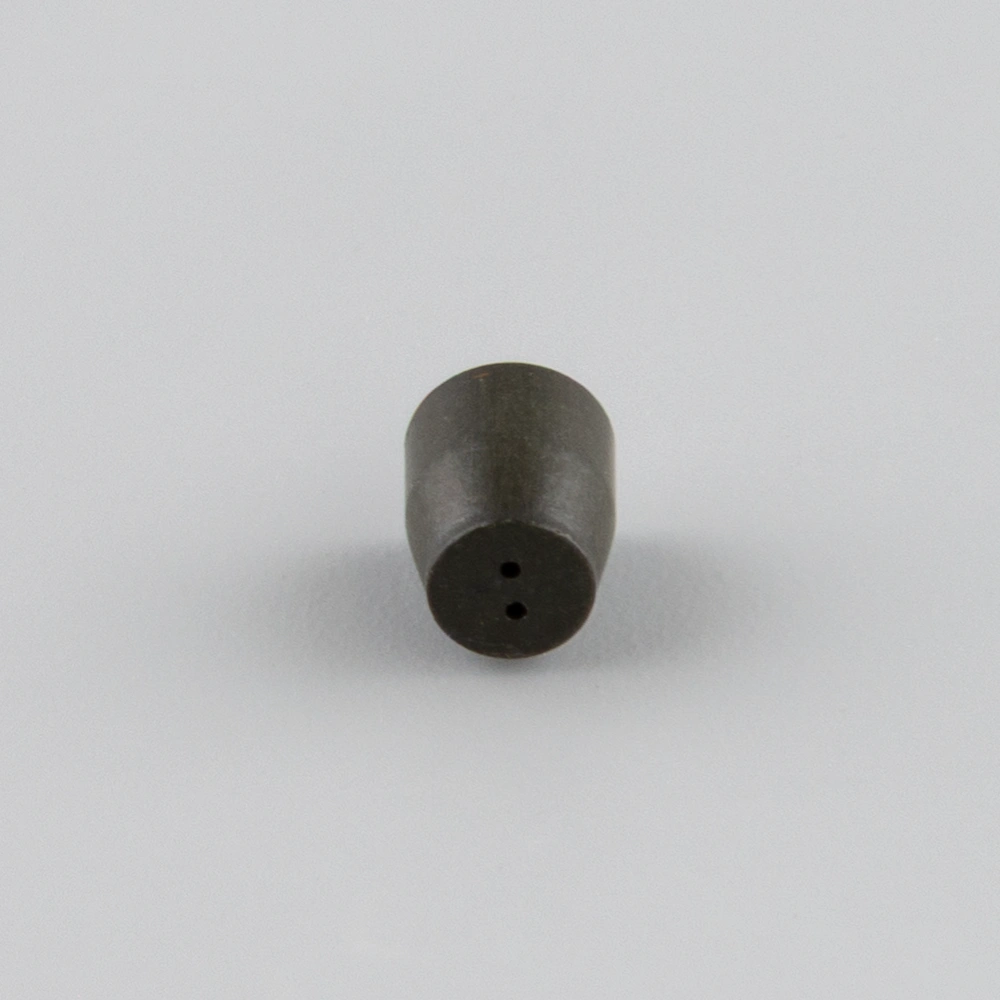Graphite/Vespel Ferrules, 1/16" x 0.30 mm ID (2-hole), pk.10