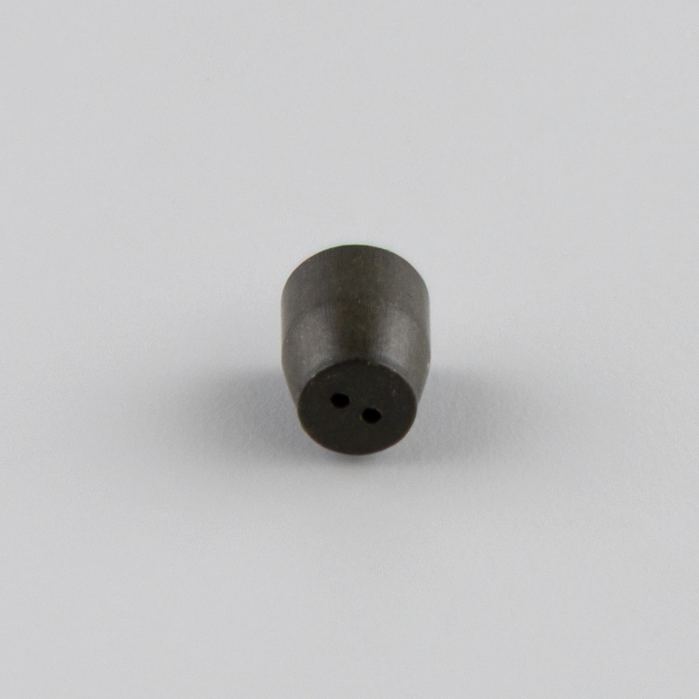 Graphite/Vespel Ferrules, 1/16" x 0.40 mm ID (2-hole), pk.10