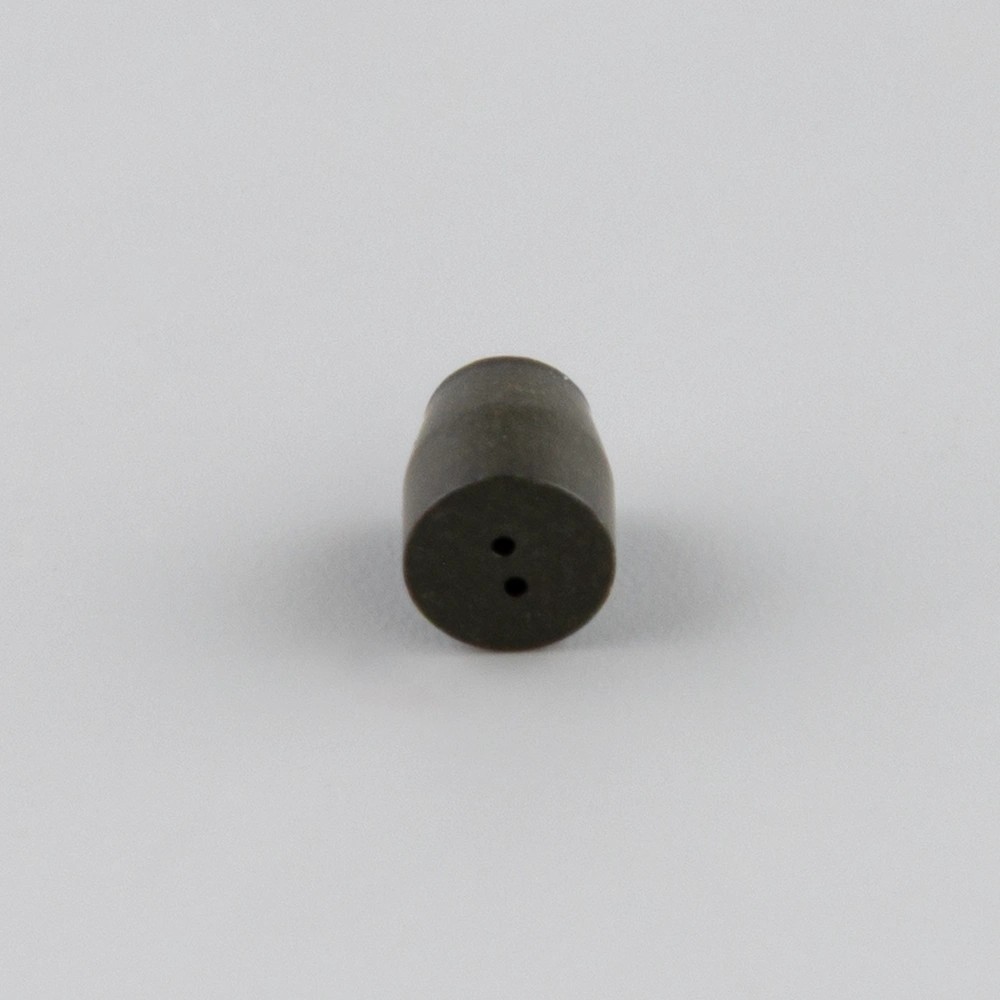 Graphite/Vespel Ferrules, 1/16" x 0.30 mm ID (2-hole), pk.10